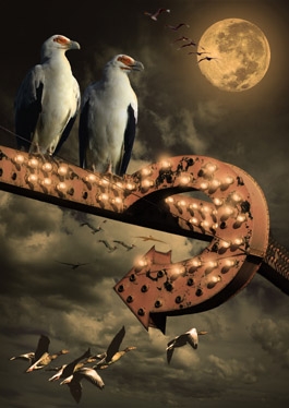 Creation of Fantasy Scene_Birdz: Step 6